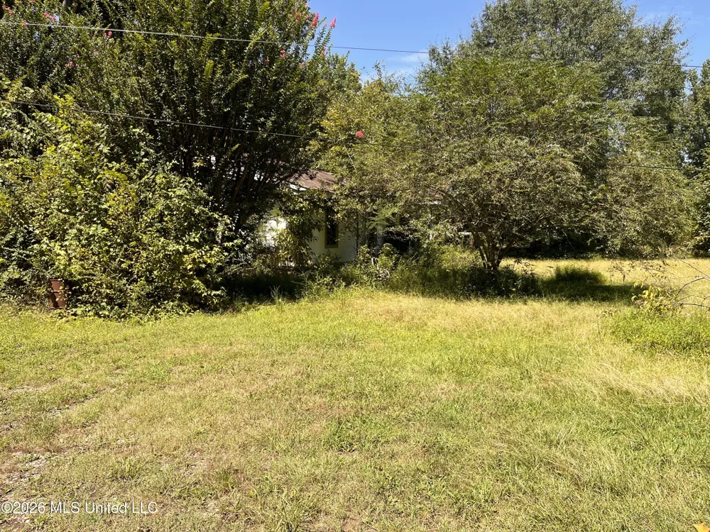 77 Lenzi Road Byhalia, MS 38611