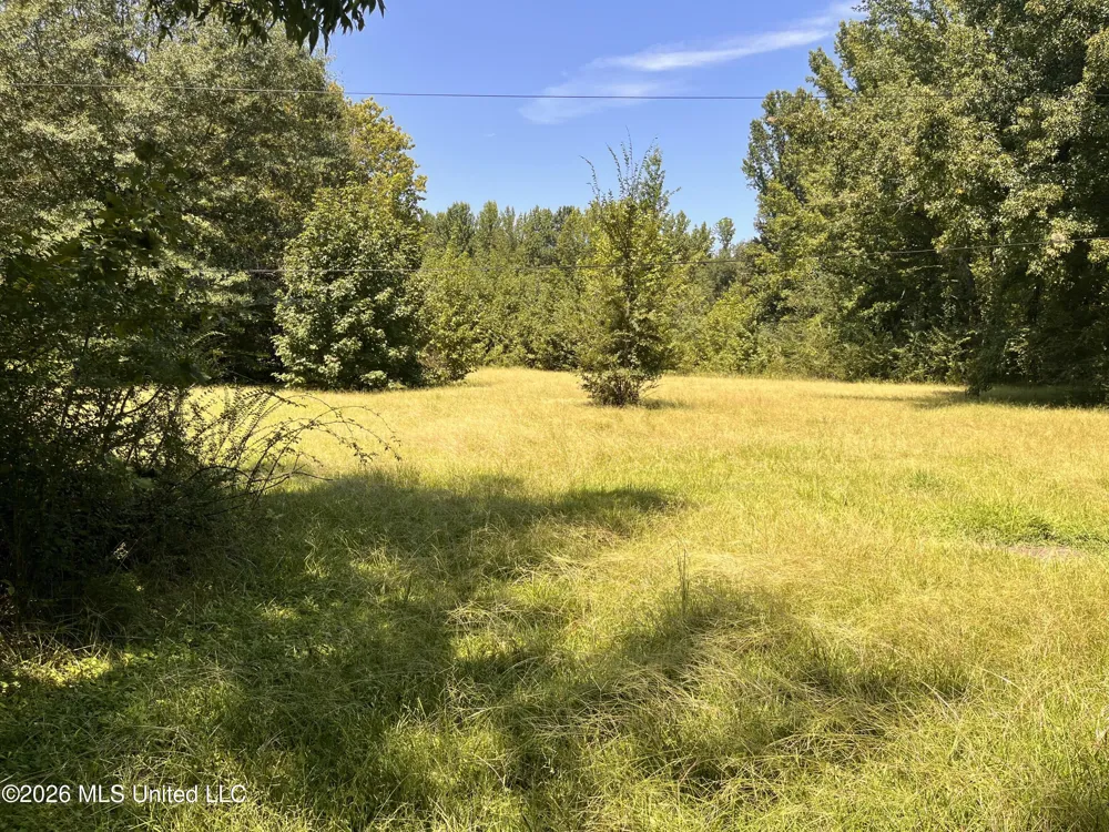 77 Lenzi Road Byhalia, MS 38611