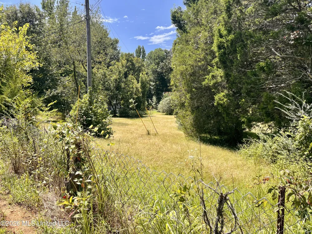 77 Lenzi Road Byhalia, MS 38611