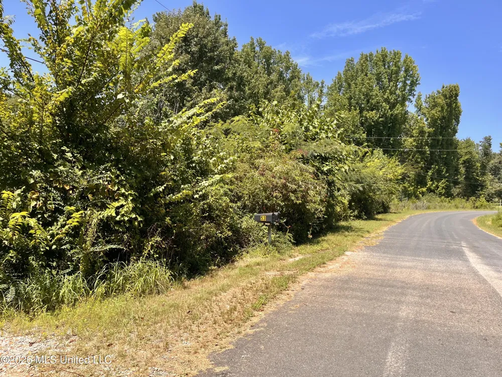 77 Lenzi Road Byhalia, MS 38611