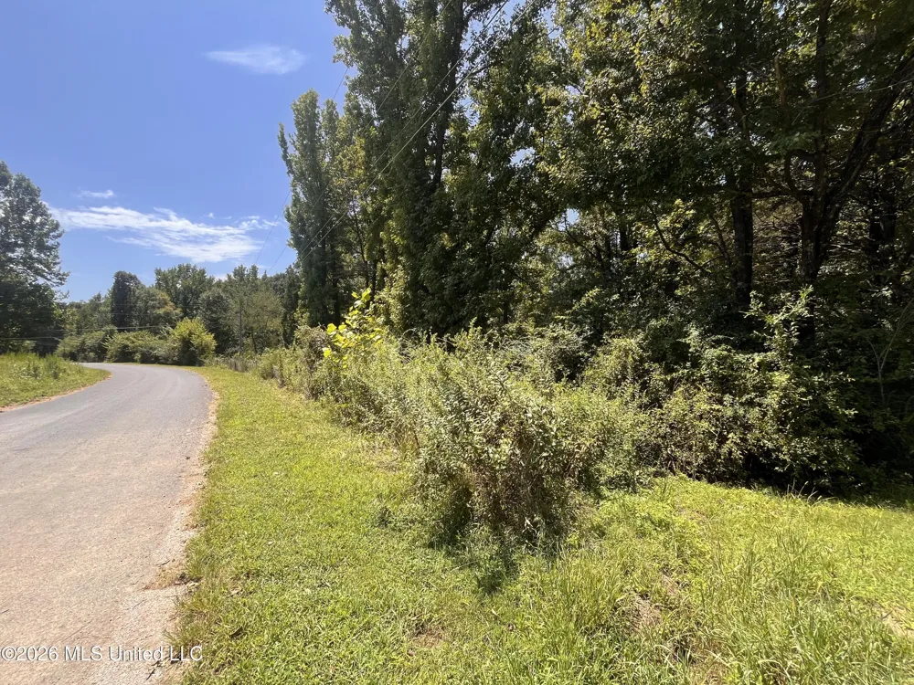 77 Lenzi Road Byhalia, MS 38611