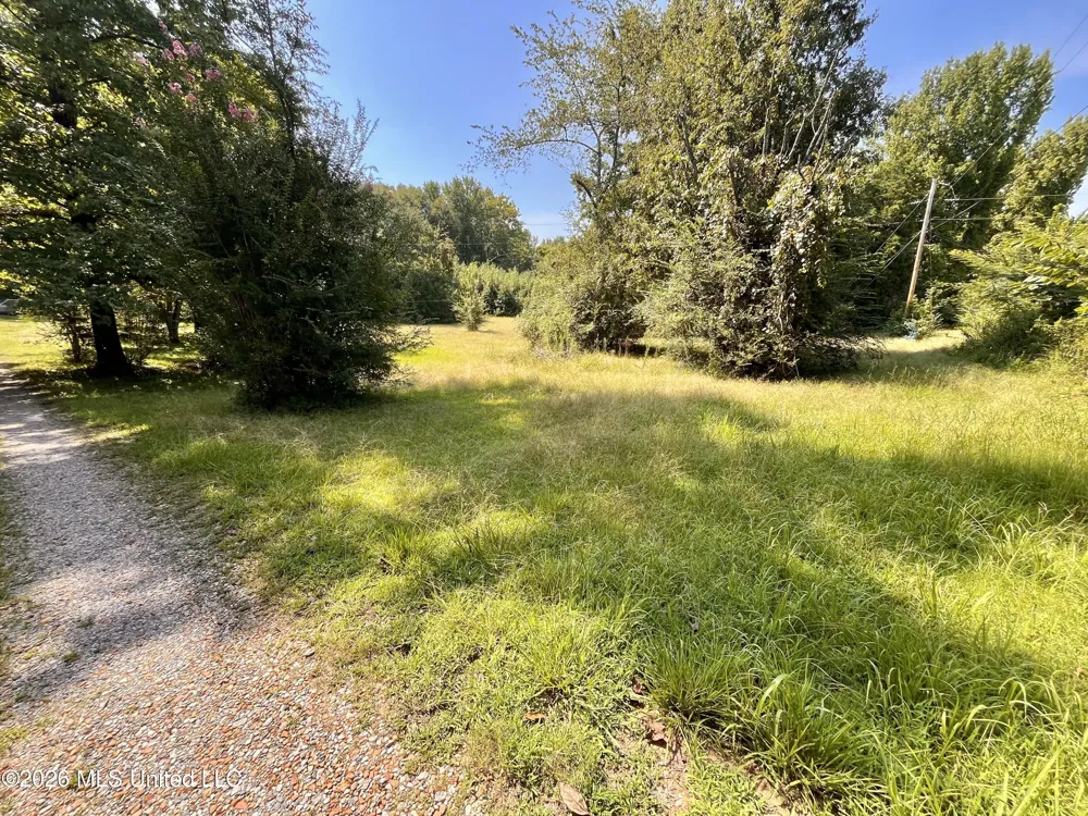 77 Lenzi Road Byhalia, MS 38611