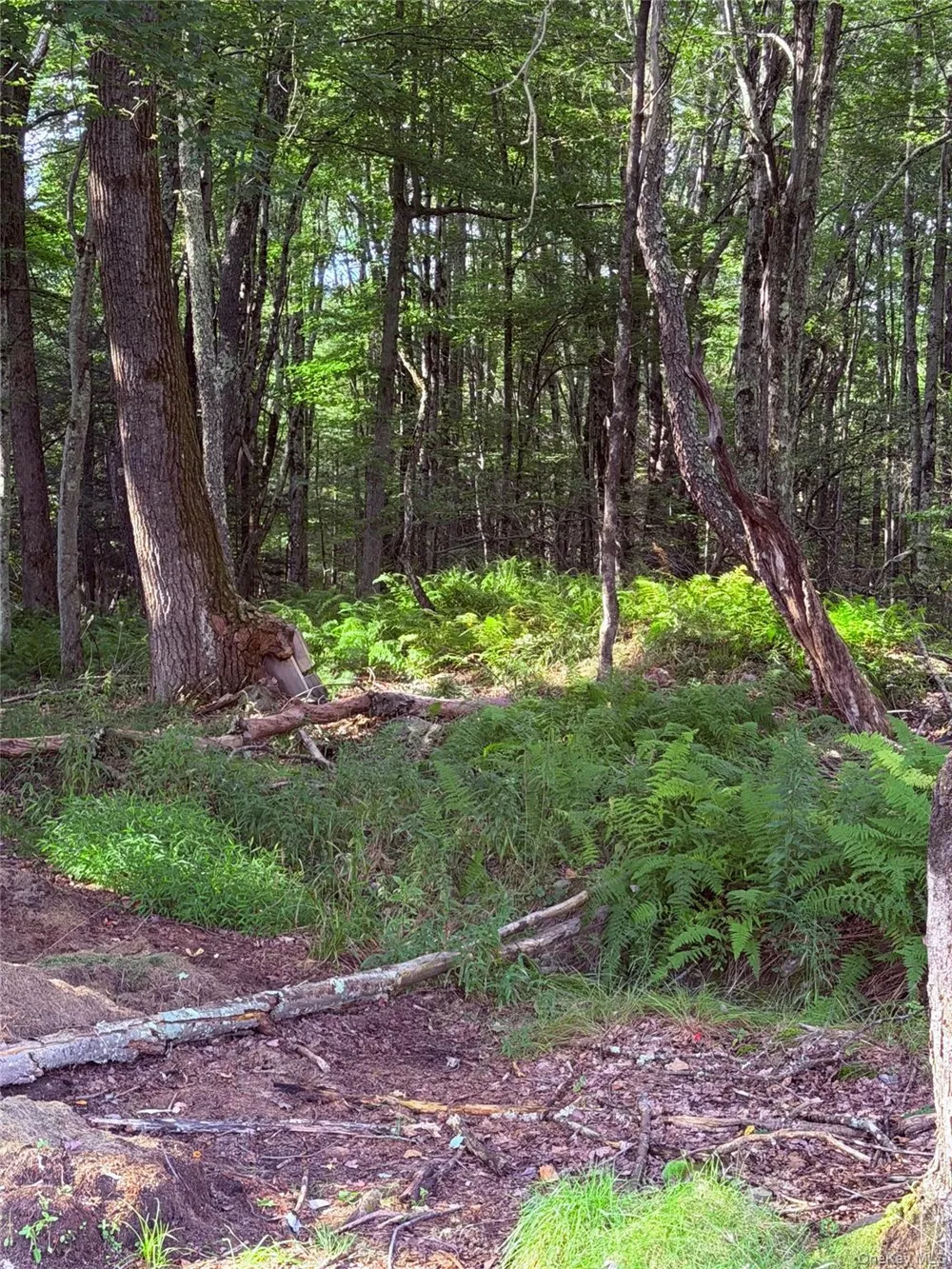 412 Brown Road Ellenville, NY 12428
