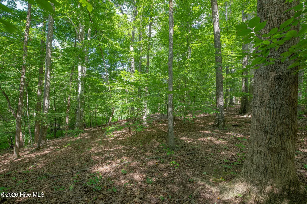 8942 Spearman Road Reidsville, NC 27320