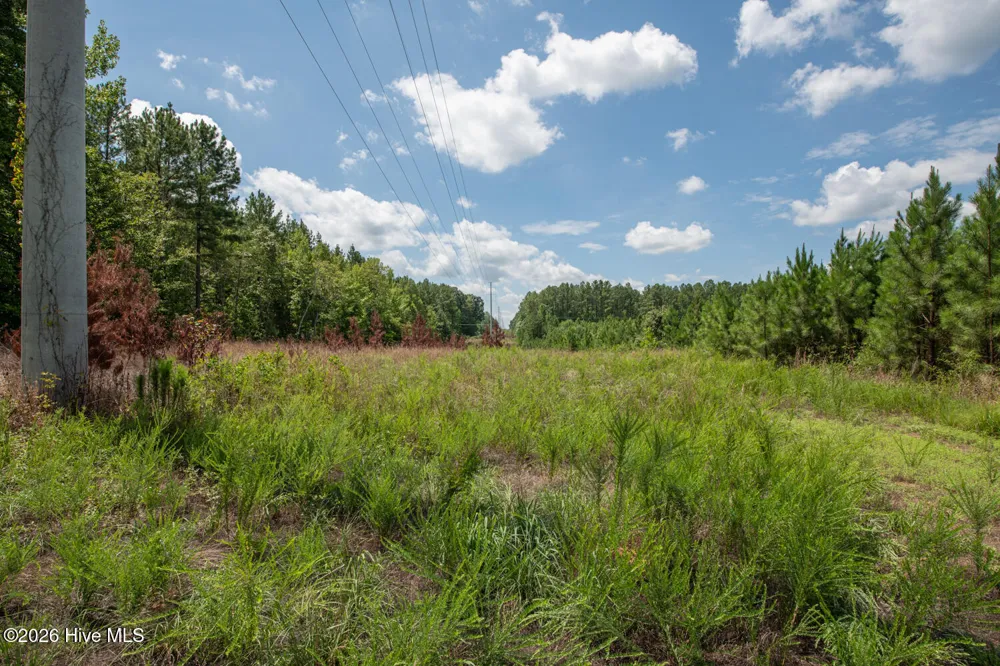 8942 Spearman Road Reidsville, NC 27320