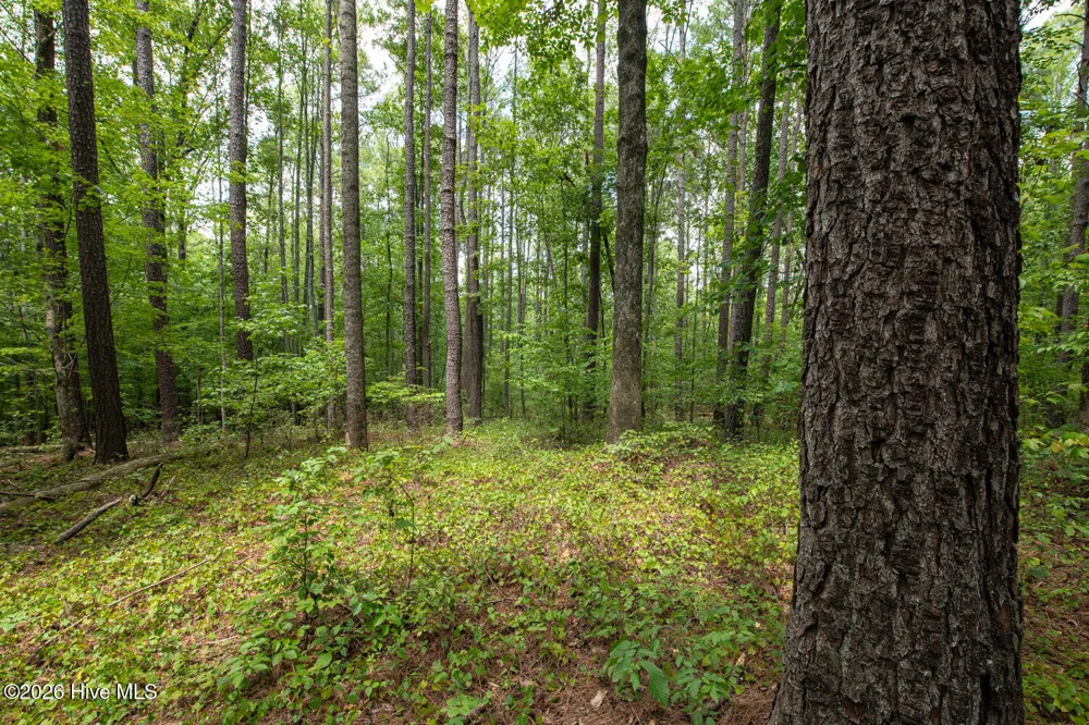 8942 Spearman Road Reidsville, NC 27320
