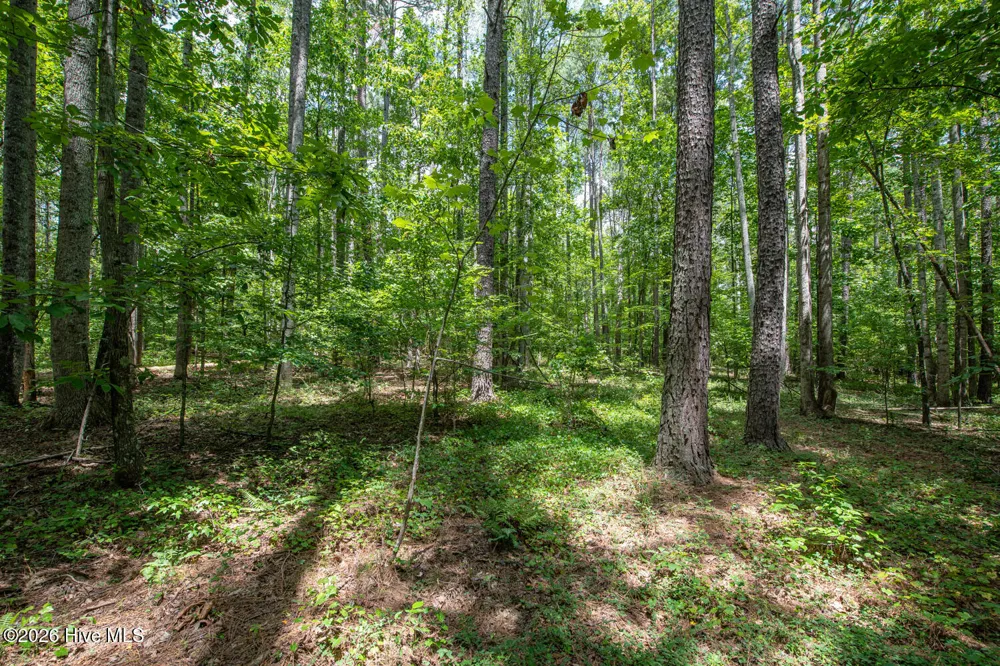 8942 Spearman Road Reidsville, NC 27320