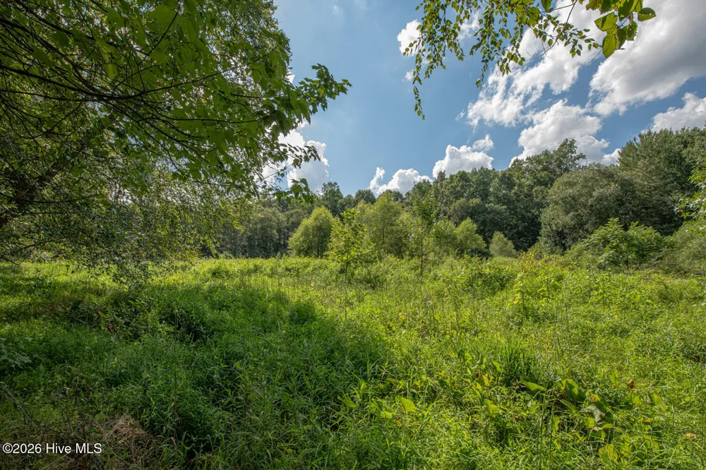 8942 Spearman Road Reidsville, NC 27320