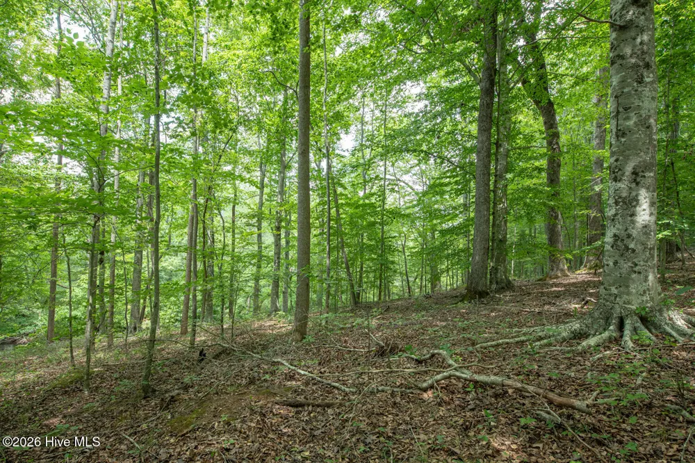 8942 Spearman Road Reidsville, NC 27320