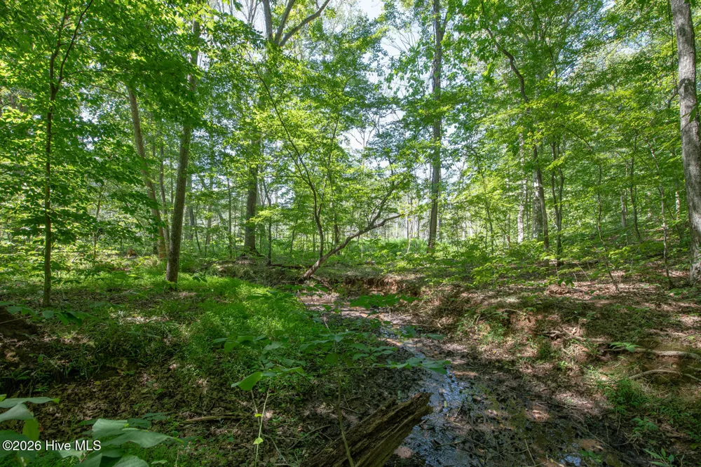 8942 Spearman Road Reidsville, NC 27320