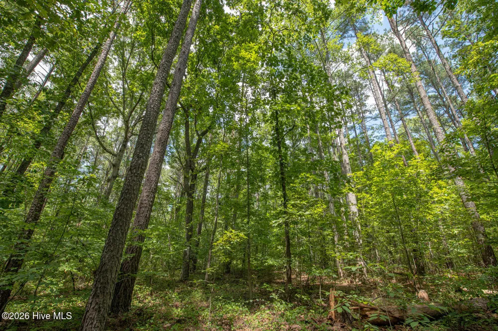 8942 Spearman Road Reidsville, NC 27320