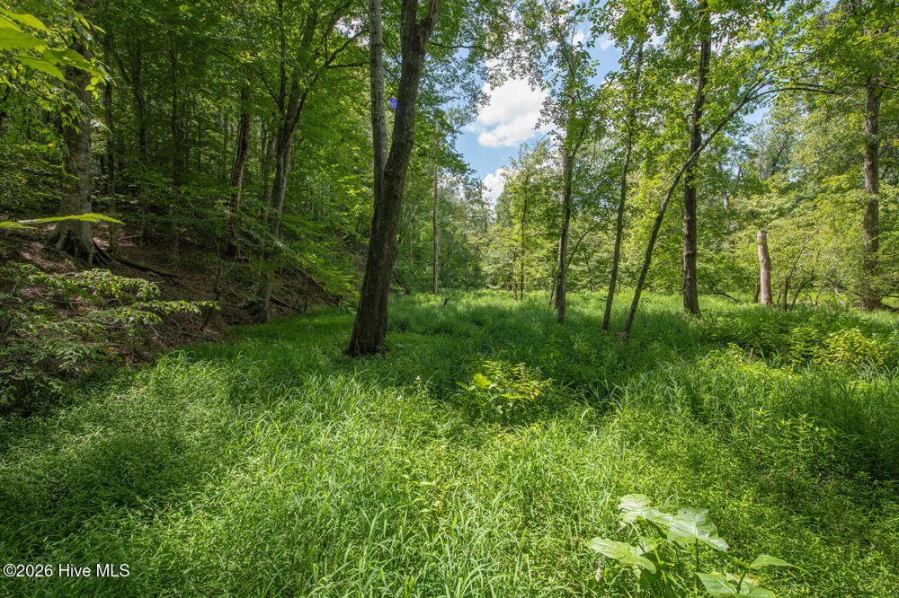 8942 Spearman Road Reidsville, NC 27320