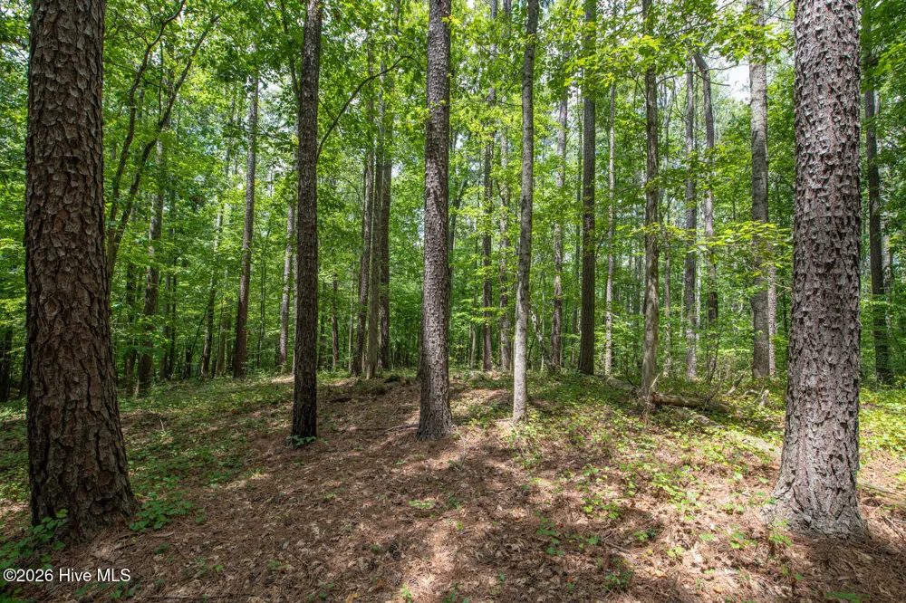 8942 Spearman Road Reidsville, NC 27320