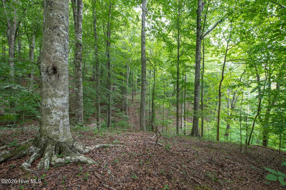 8942 Spearman Road Reidsville, NC 27320
