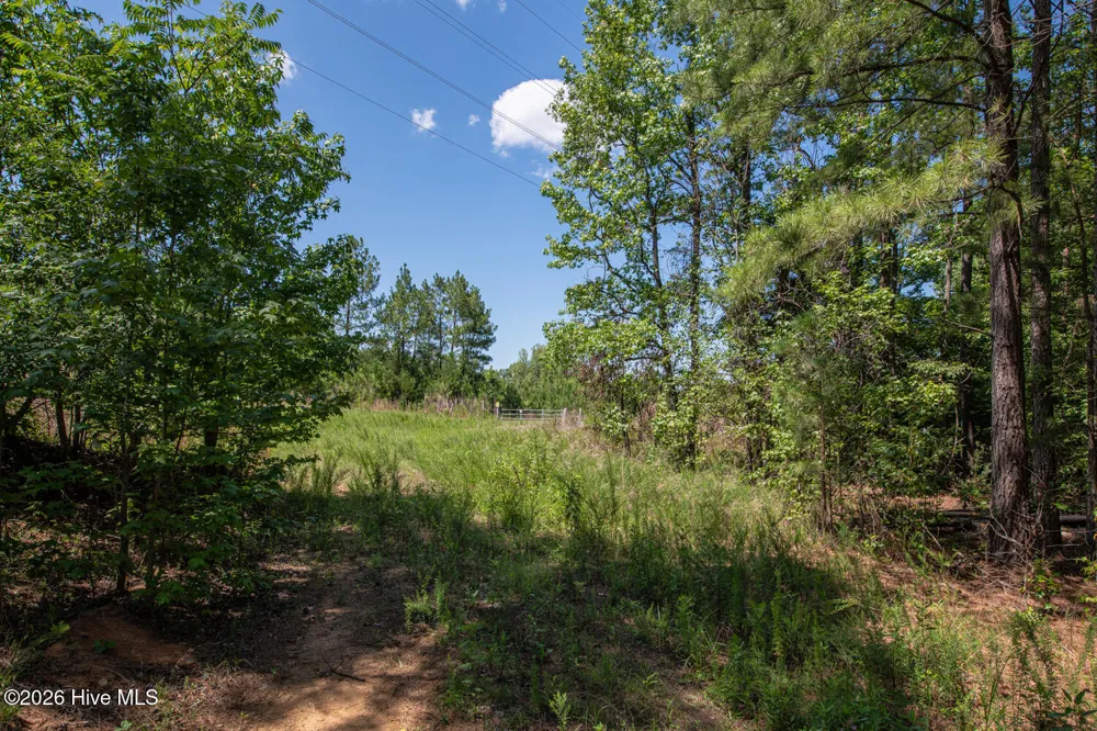 8942 Spearman Road Reidsville, NC 27320