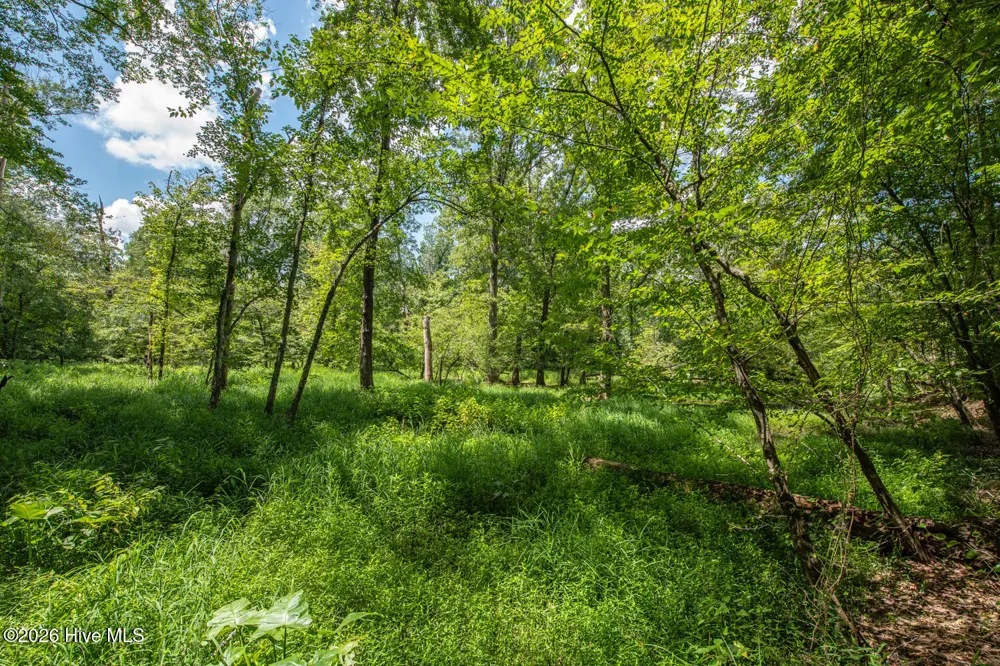 8942 Spearman Road Reidsville, NC 27320