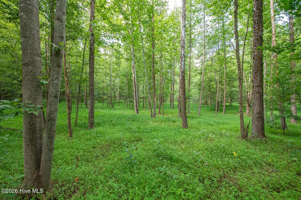 8942 Spearman Road Reidsville, NC 27320