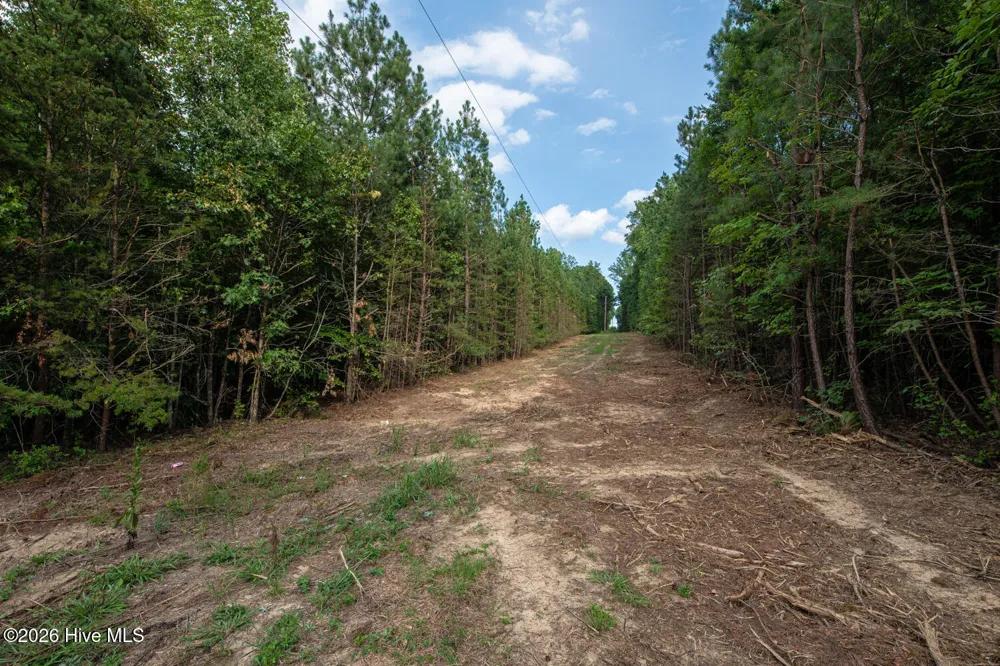 8942 Spearman Road Reidsville, NC 27320