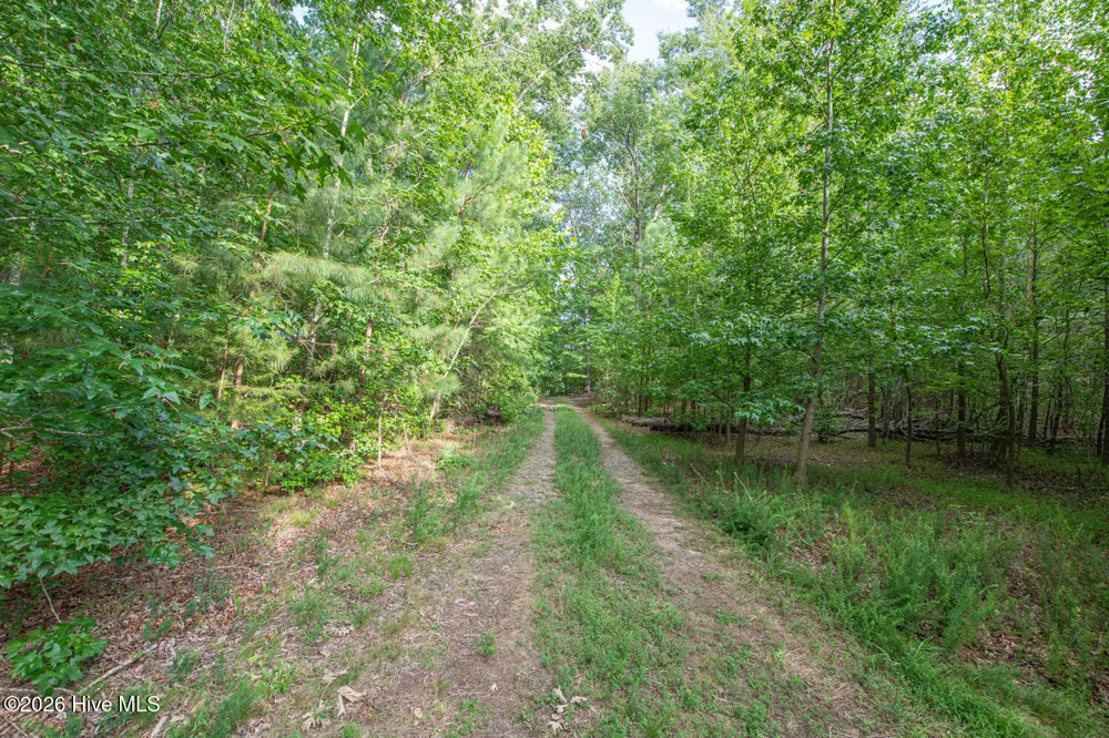 8942 Spearman Road Reidsville, NC 27320