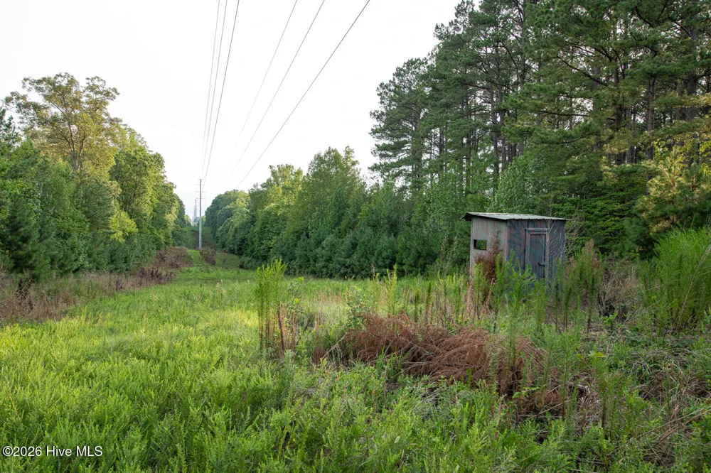 8942 Spearman Road Reidsville, NC 27320