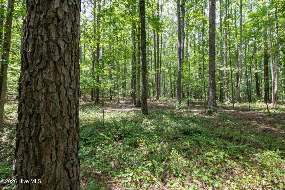 8942 Spearman Road Reidsville, NC 27320