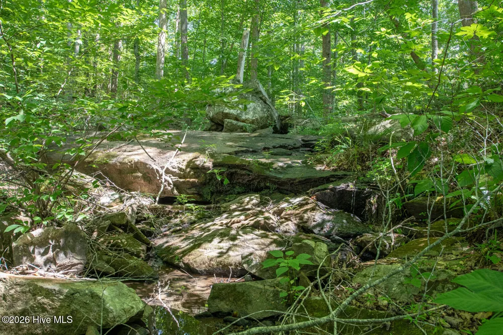 8942 Spearman Road Reidsville, NC 27320