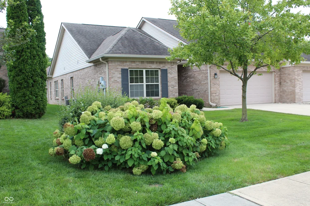 5579 Lipizzan Lane Plainfield, IN 46168
