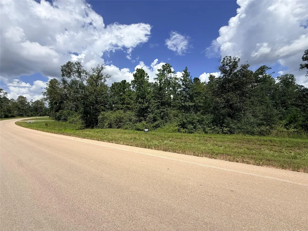 12075 High Branch Way Willis, TX 77378