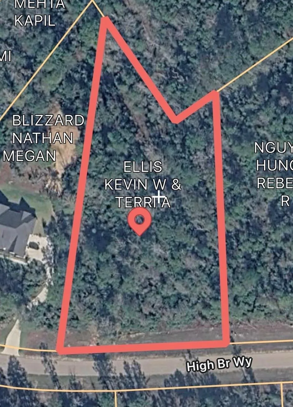 12075 High Branch Way Willis, TX 77378
