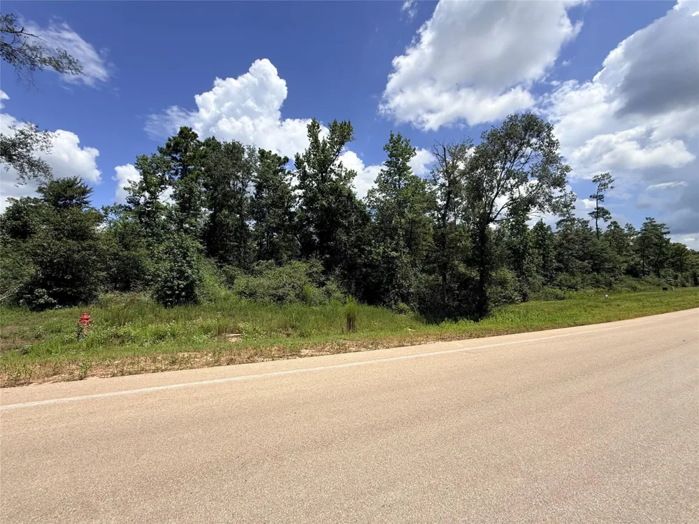 12075 High Branch Way Willis, TX 77378