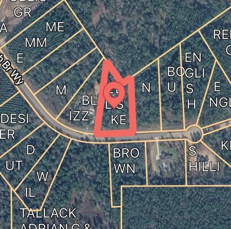 12075 High Branch Way Willis, TX 77378