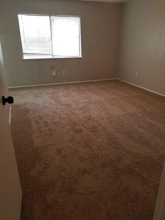 8002 Knightwood Forest Drive Houston, TX 77088