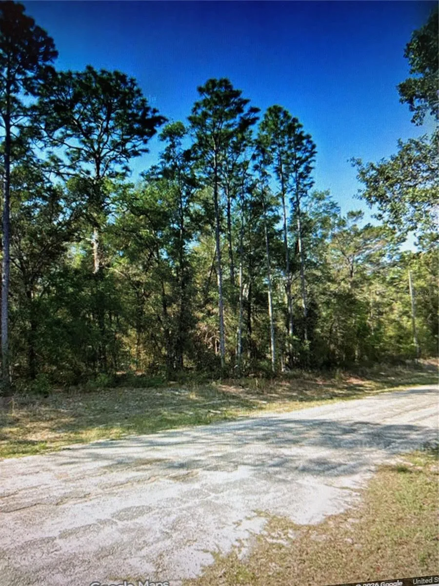 564 E PANAMA DRIVE Citrus Springs, FL 34434