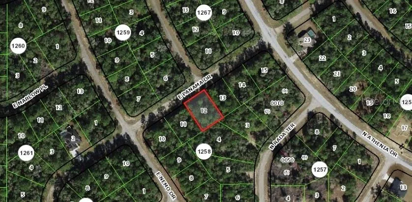 564 E PANAMA DRIVE Citrus Springs, FL 34434