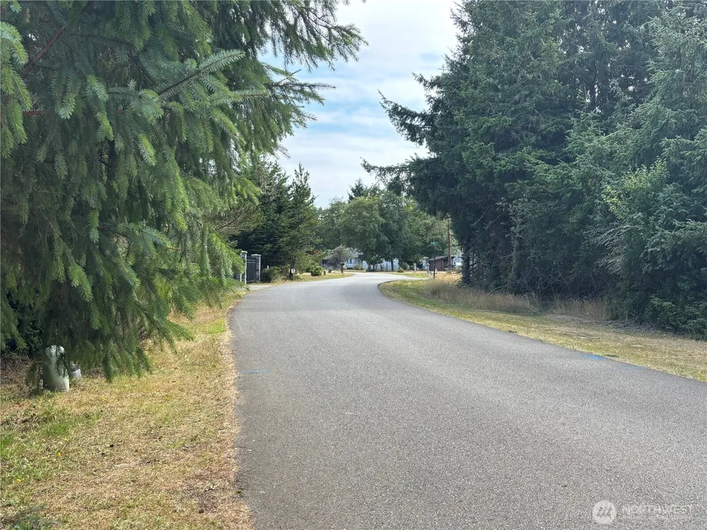 206 Sunrise Avenue SE Ocean Shores, WA 98569