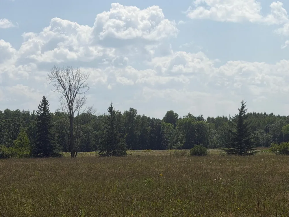1506 County Road 1 SW Baudette, MN 56623