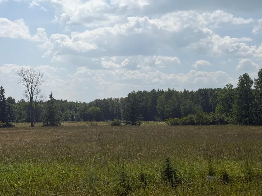 1506 County Road 1 SW Baudette, MN 56623