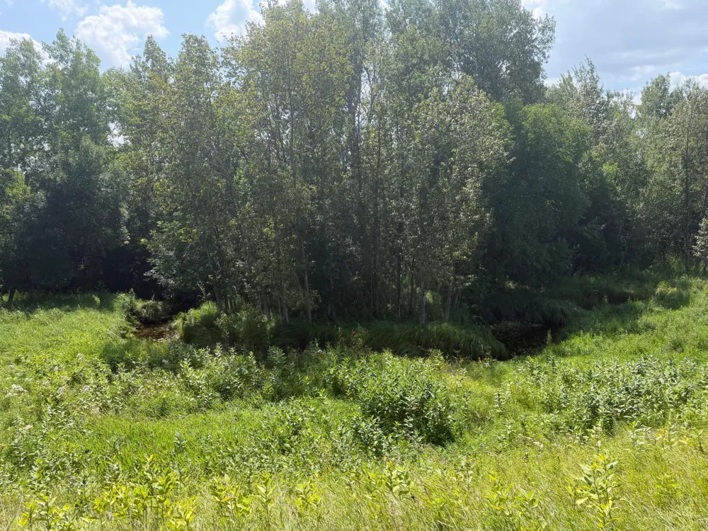1506 County Road 1 SW Baudette, MN 56623