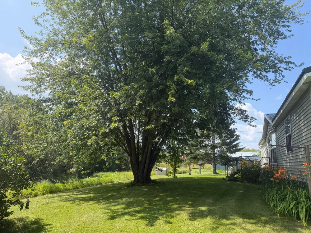 1506 County Road 1 SW Baudette, MN 56623