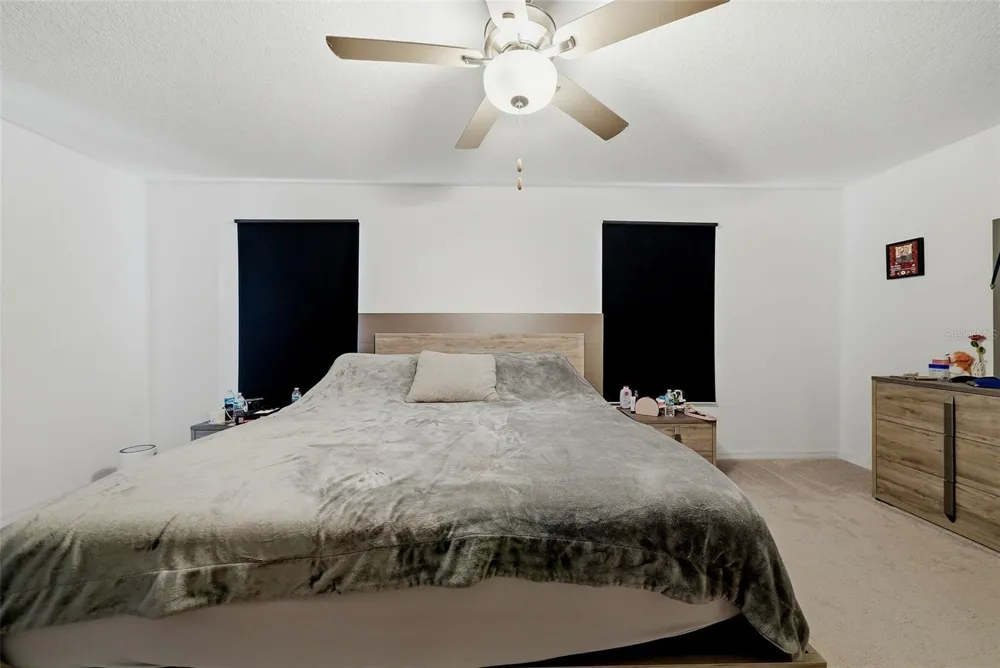 10336 LAVENDER ASTER TRAIL San Antonio, FL 33576