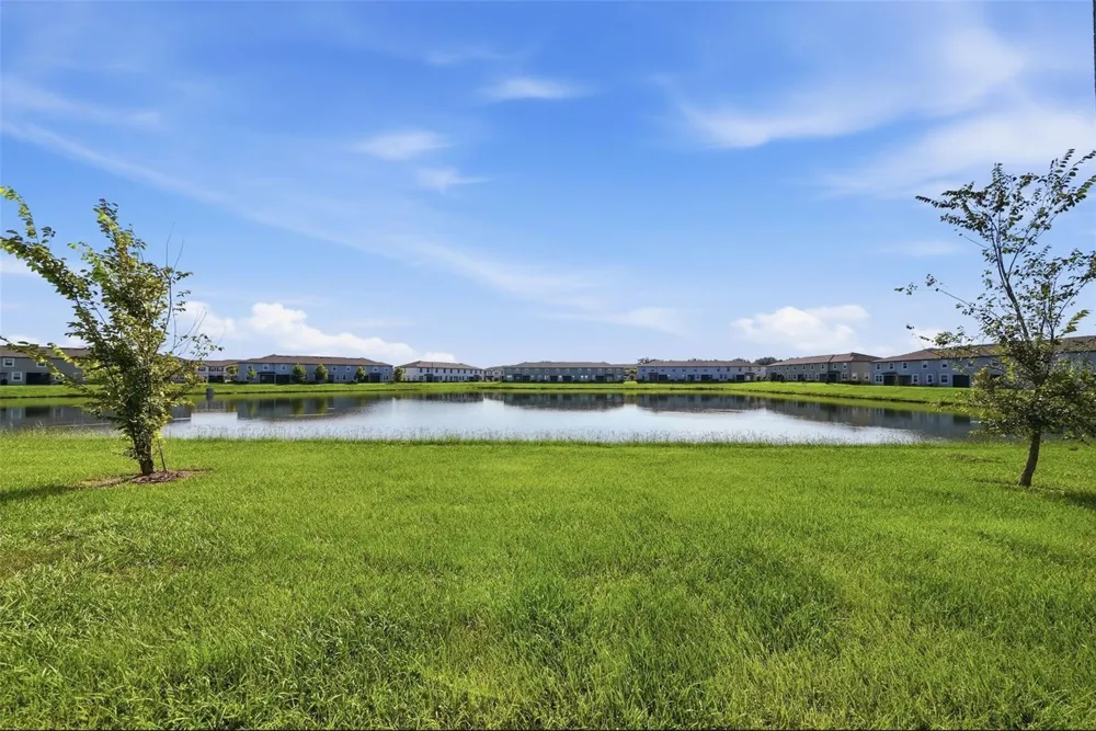 10336 LAVENDER ASTER TRAIL San Antonio, FL 33576