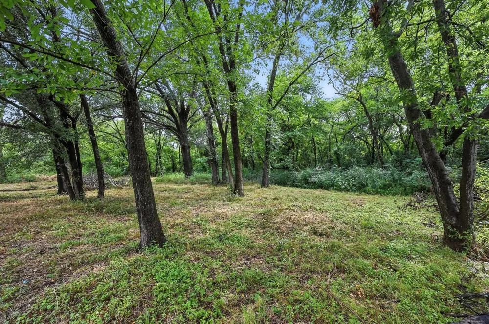 Walton Corsicana, TX 75110