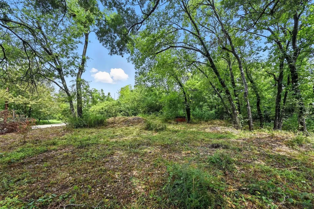 Walton Corsicana, TX 75110