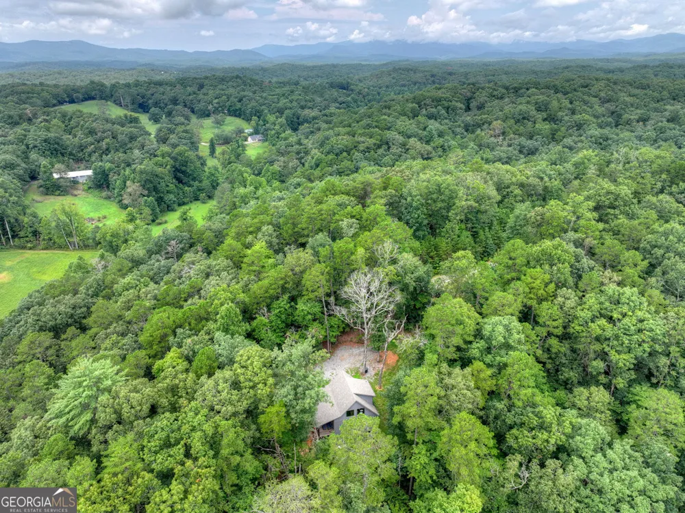 232 Ridge Oaks WAY Ellijay, GA 30540