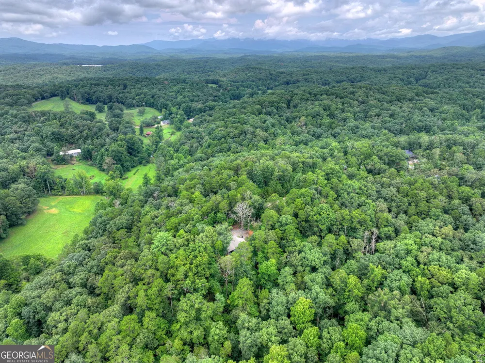 232 Ridge Oaks WAY Ellijay, GA 30540
