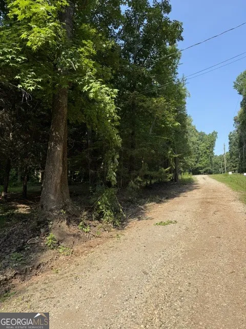 LOT 41 Rue Lafayette Lavonia, GA 30553