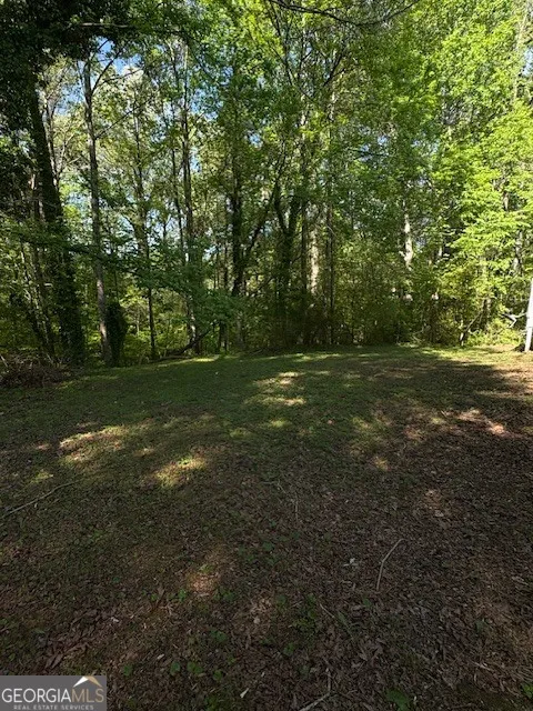 355 Lori LN Riverdale, GA 30296