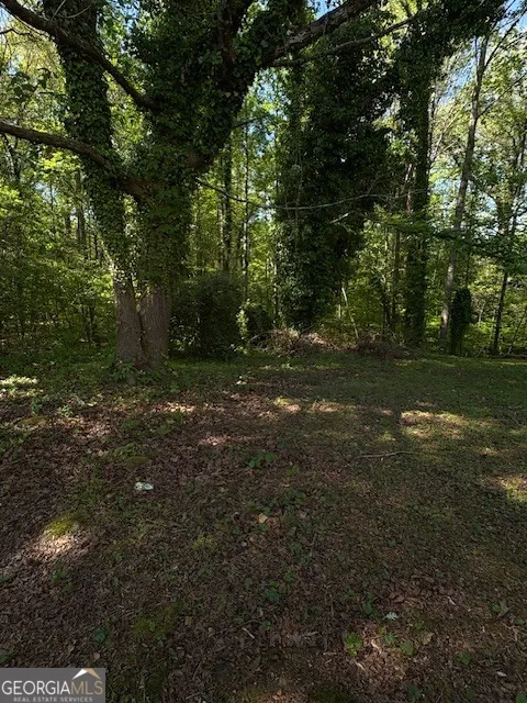 355 Lori LN Riverdale, GA 30296
