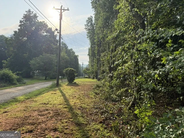LOT 92 Rue Fieur De Lis Lavonia, GA 30553