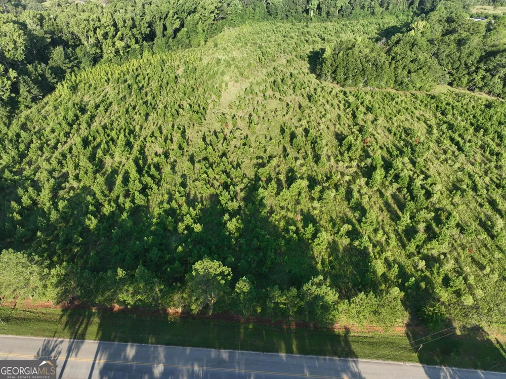 0 Ben Grady Collins RD Portal, GA 30450